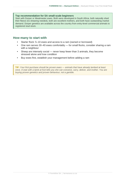 Sheep Farming | Backyard Edition Handbook