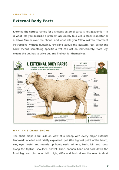 New Master Illustrated Sheep Edition – sample page 4