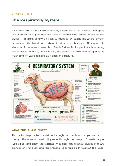 New Master Illustrated Sheep Edition – sample page 6