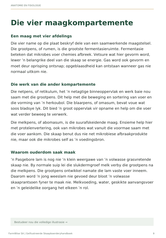 Die vier maagkompartemente - teksblad