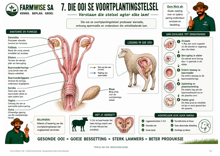 Geïllustreerde Meestereeks Skaapboerdery Handboek (Afrikaans)
